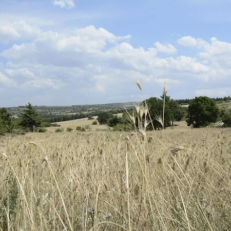 Farm stay Poggio Ferrata *