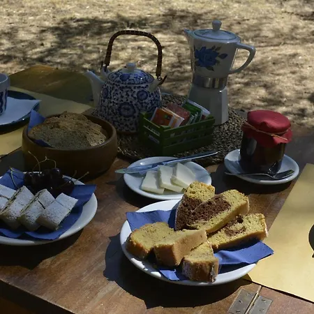 Farm stay Poggio Ferrata Ruvo di Puglia